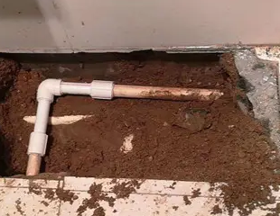 博山测漏水哪家好