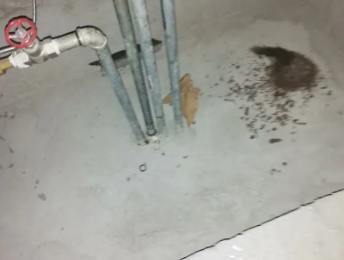 博山卫生间测漏水价格明细