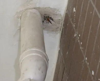 博山漏水检测哪家好